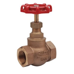 Bronze Globe Valve